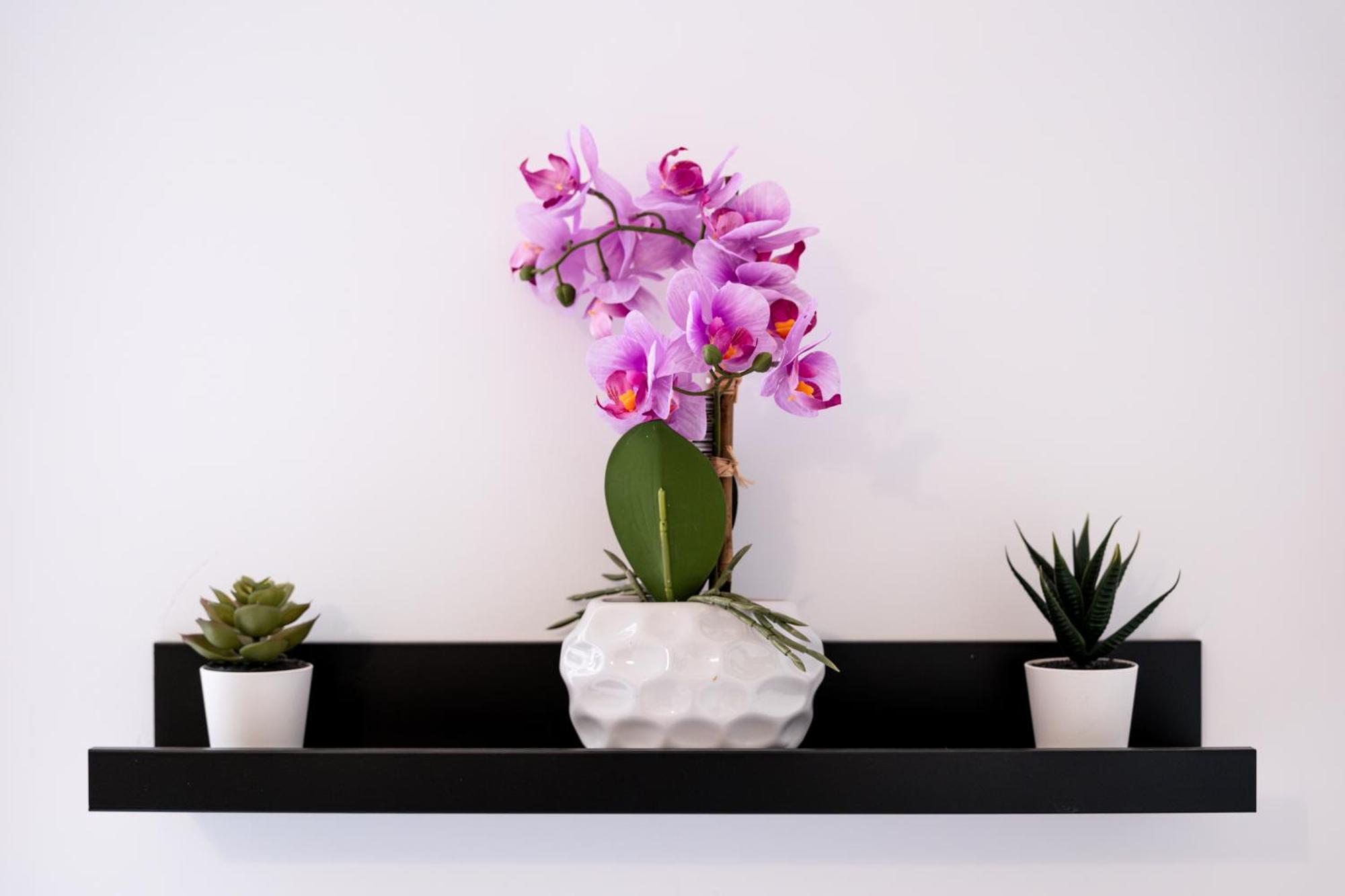 בודפשט Soho Downtown Apartment מראה חיצוני תמונה