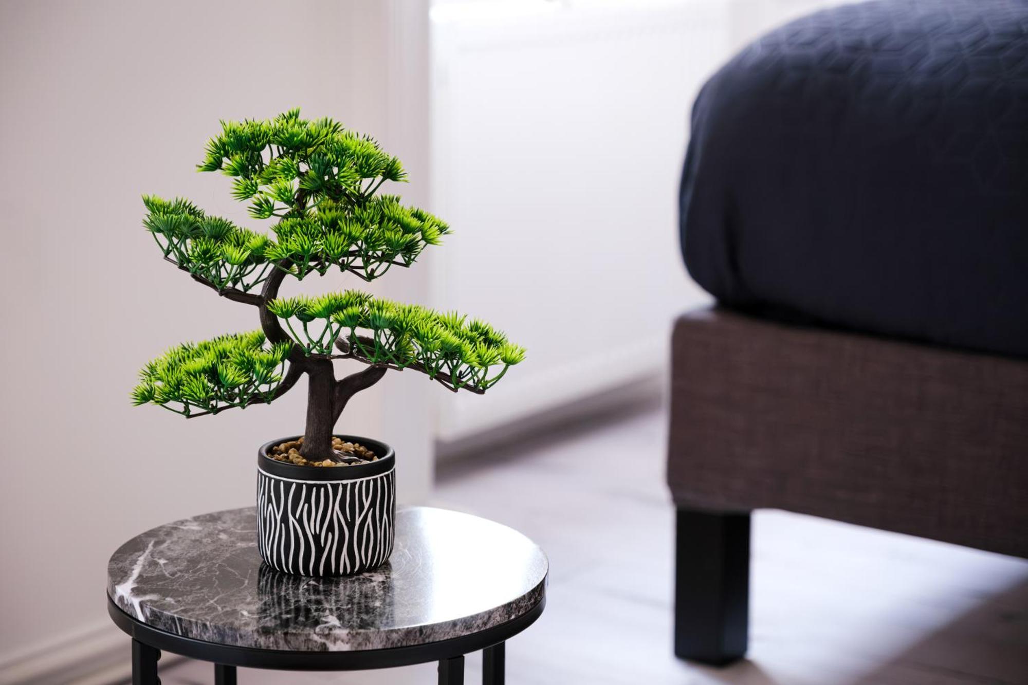 בודפשט Soho Downtown Apartment מראה חיצוני תמונה